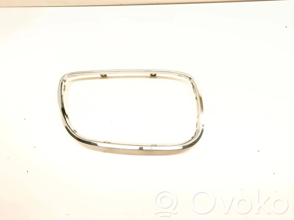BMW X5 E53 Front grill 
