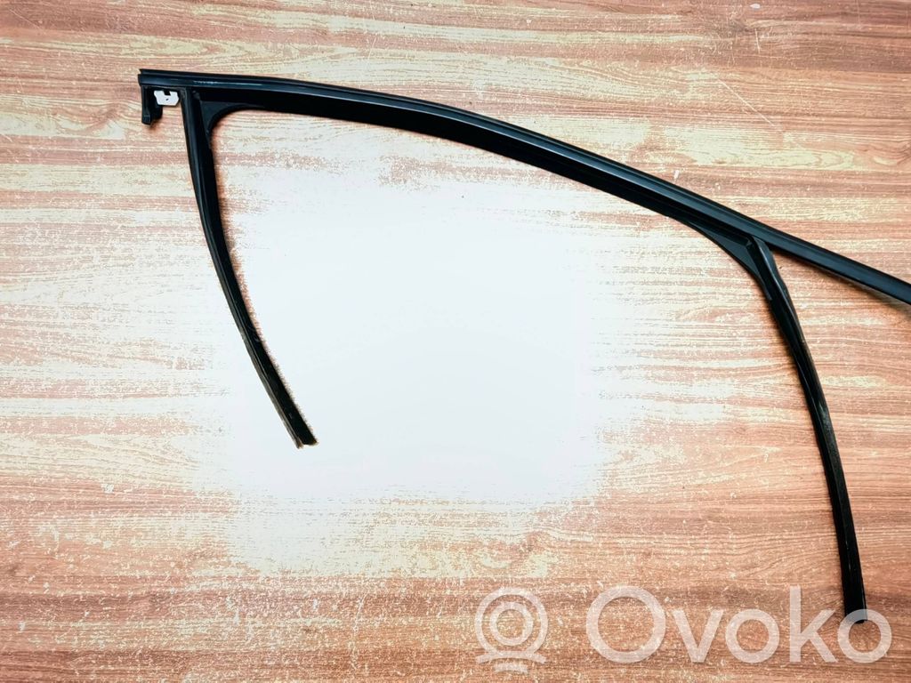 Opel Insignia B Junta de goma de la ventana/luna de la puerta delantera 