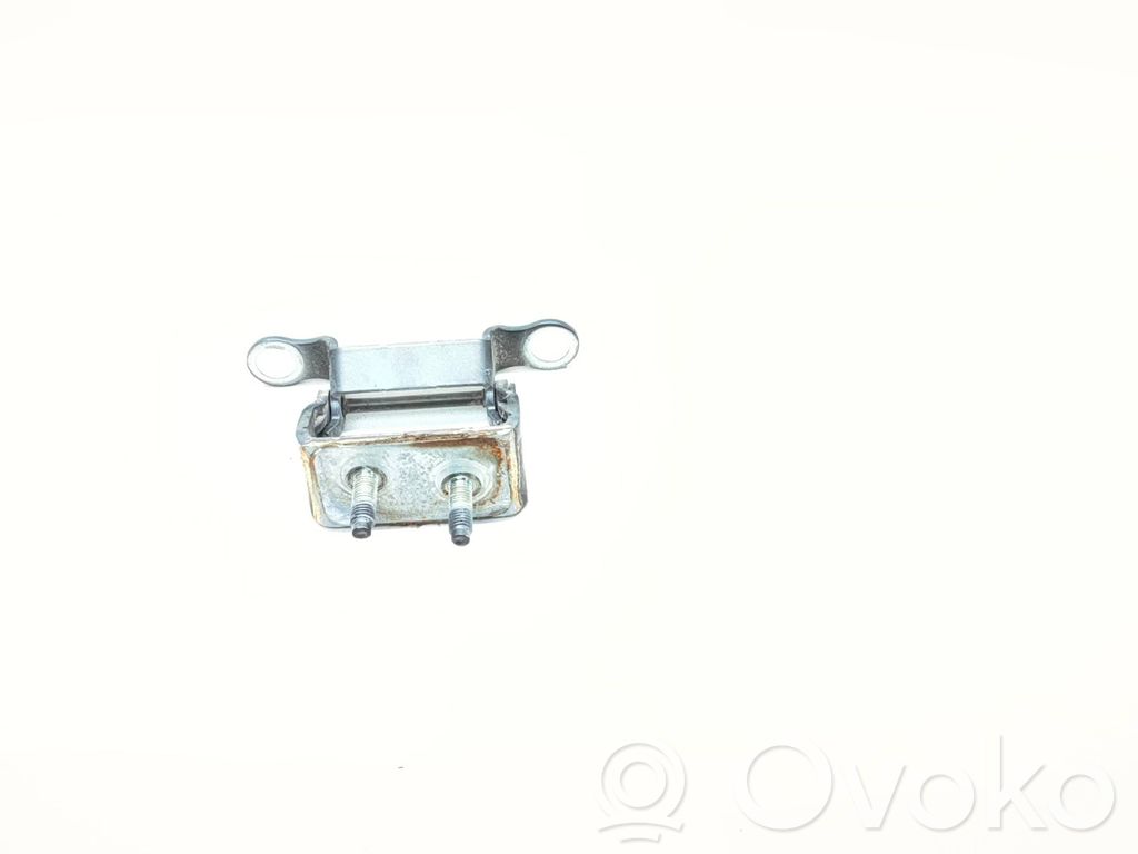 Tailgate/trunk/boot hinge   8678352