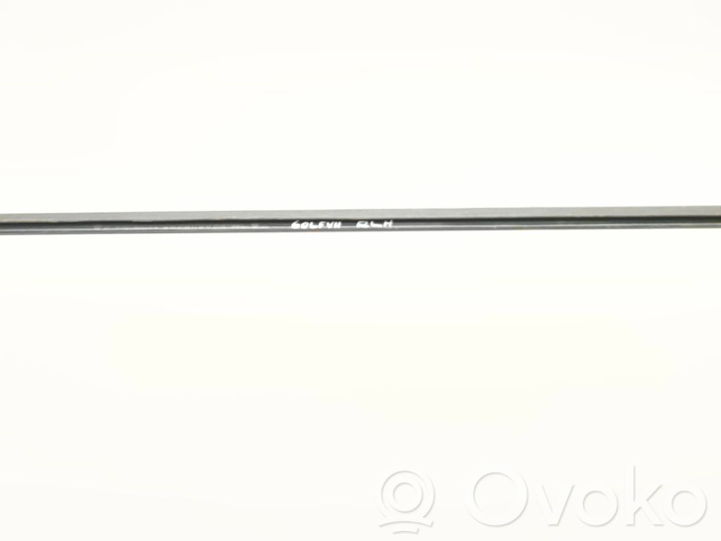 Volkswagen Golf VII Listwa / Uszczelka szyby drzwi tylnych 