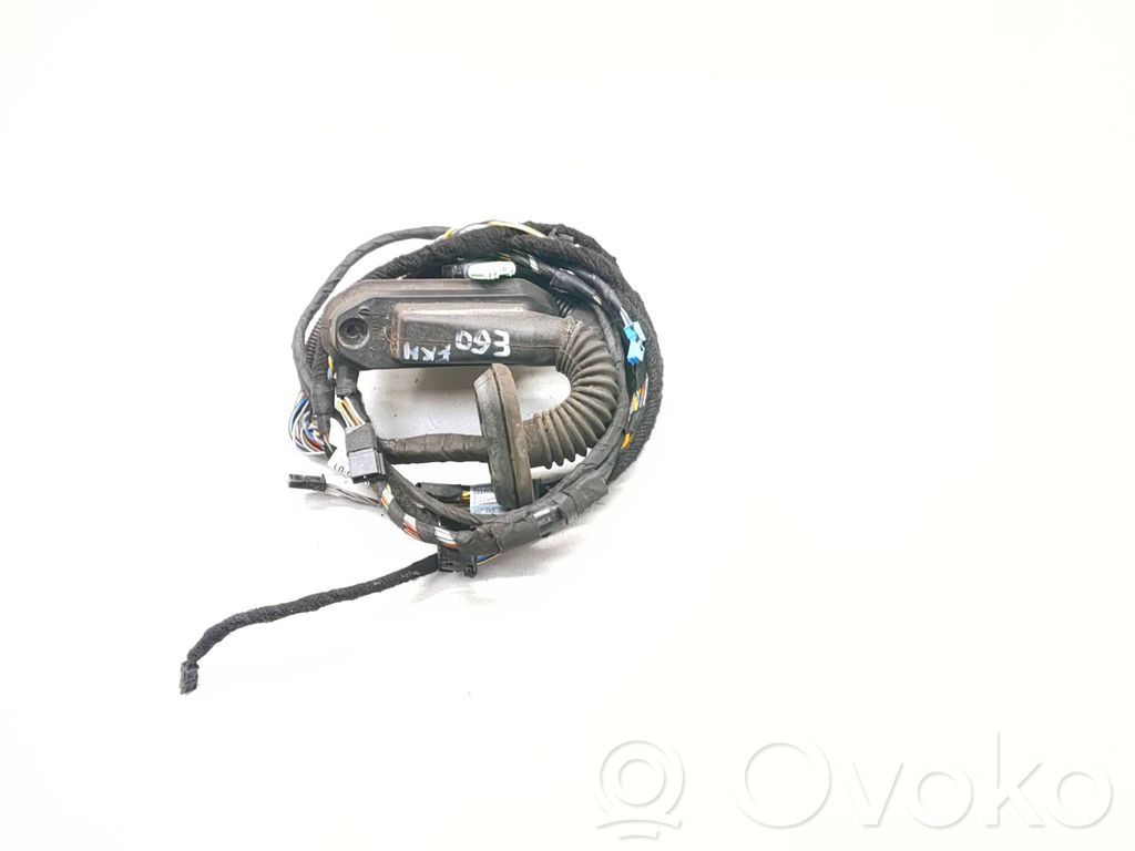 BMW 5 E60 E61 Cablaggio porta anteriore 