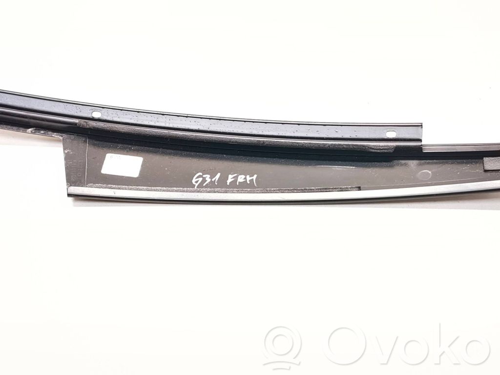 BMW 5 G30 G31 G38 Ornament geam ușă față 