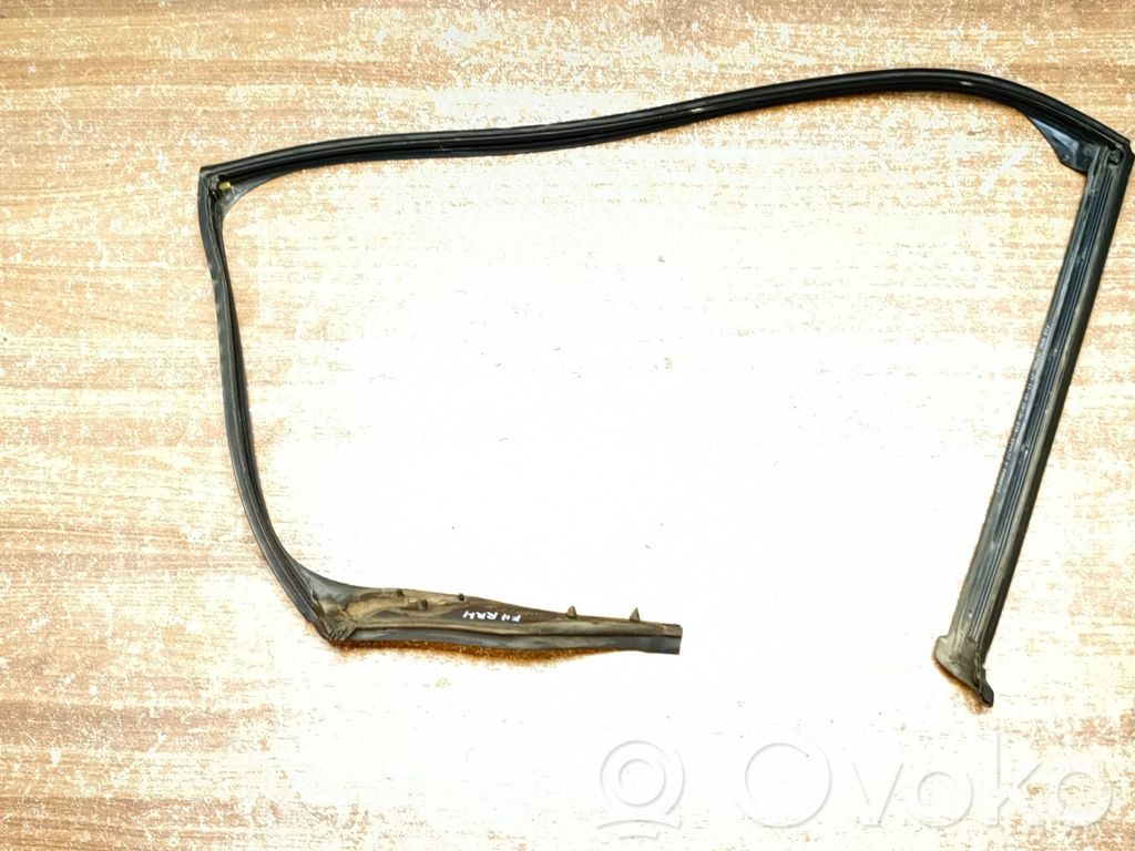 BMW 5 F10 F11 Guarnizione in gomma portiera posteriore 