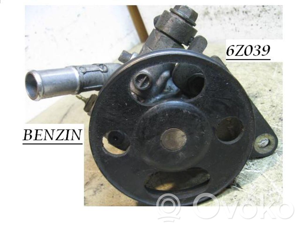 Pompa servosterzo   6Z039