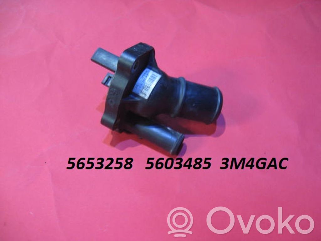 Termostaatin kotelo   5653258,5603485,3M4GAC