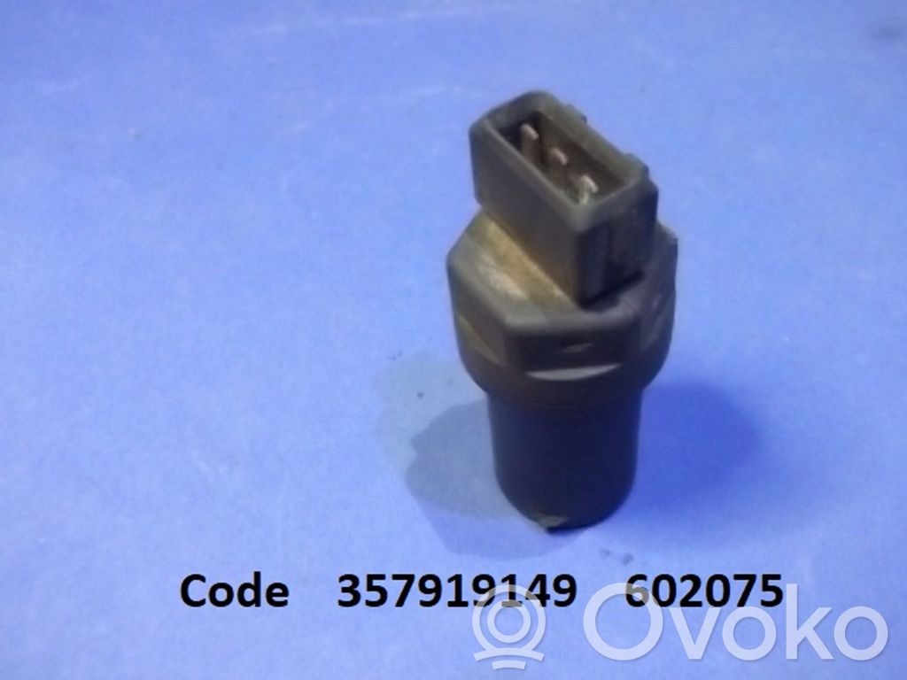 Speed sensor (speedometer sensor)   357919149,602075