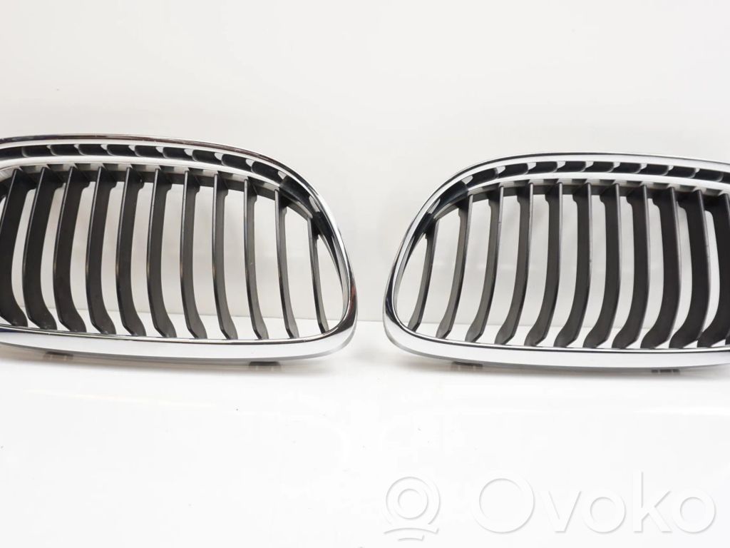 Kühlergrill   51137201969
