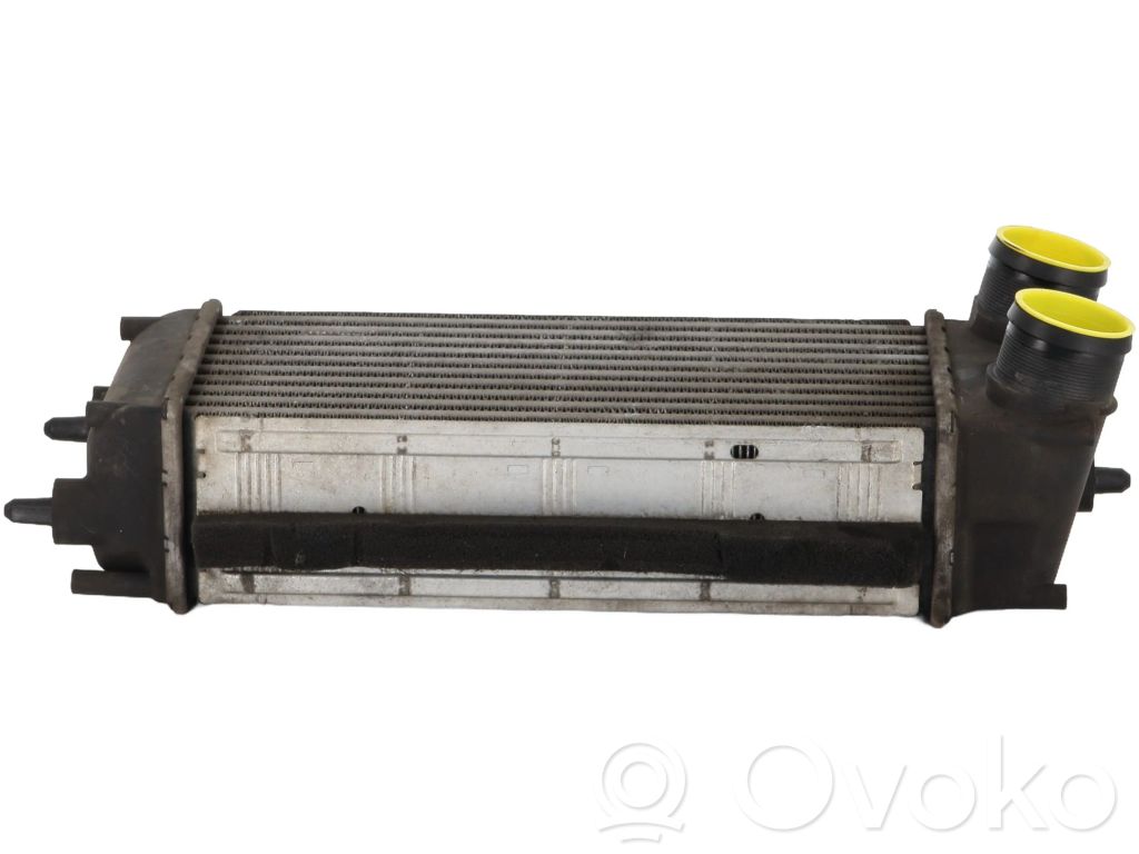 Interkūlerio radiatorius   AV219L440AB
