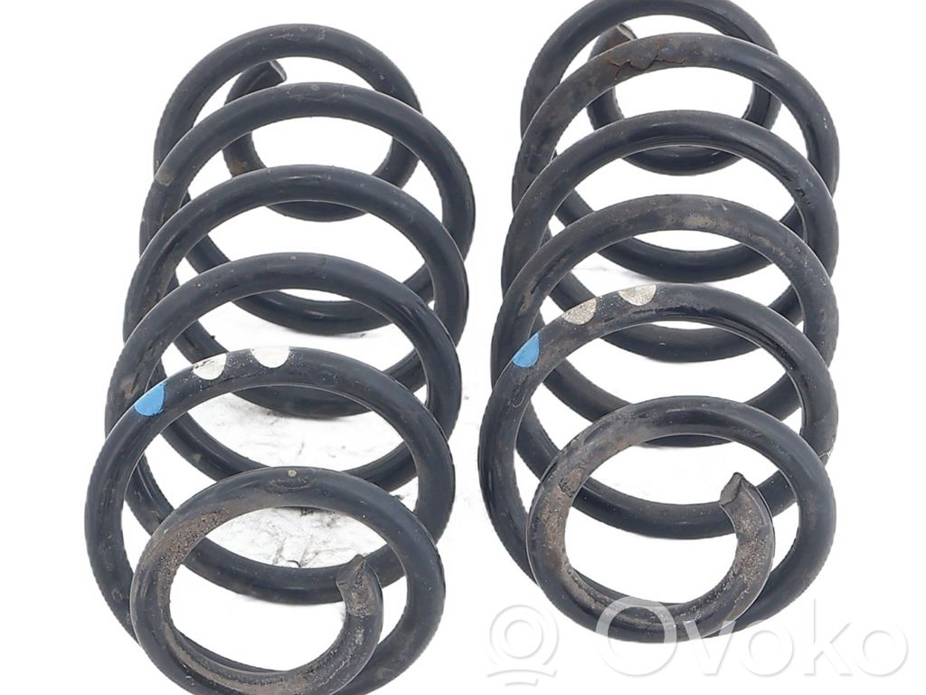 Muelle espiral trasero