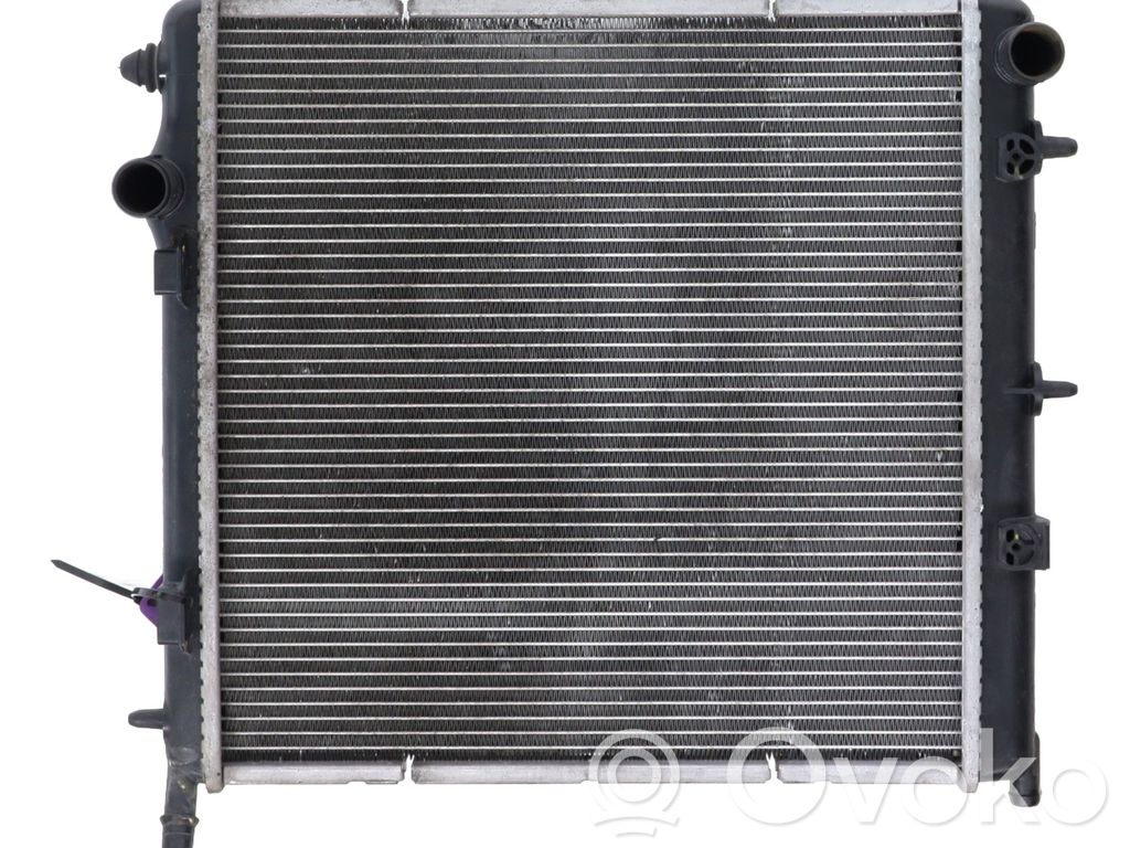 Peugeot 207 Coolant radiator 