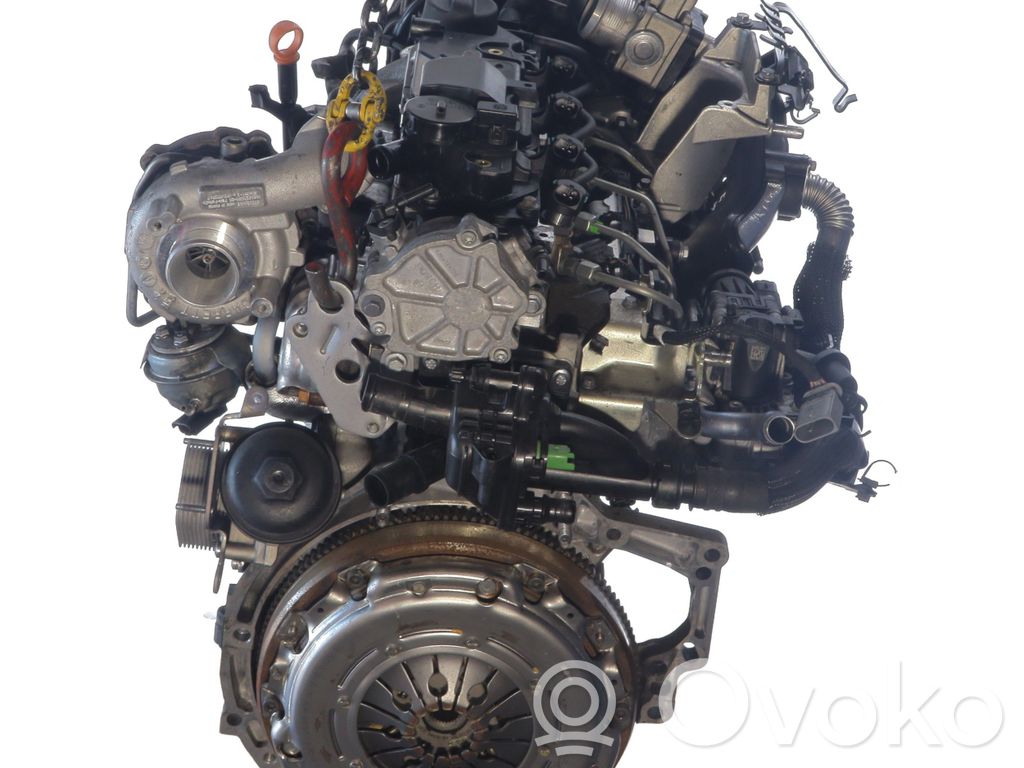 Motor   0135TQ