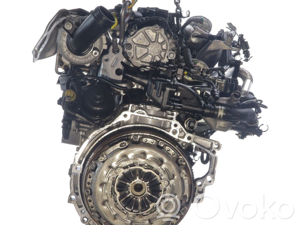 Variklis   0135TQ