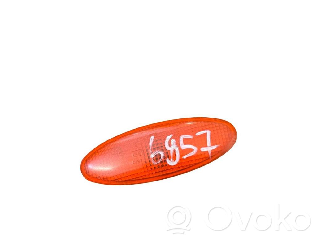 Seitenblinker   95GG13K309AA