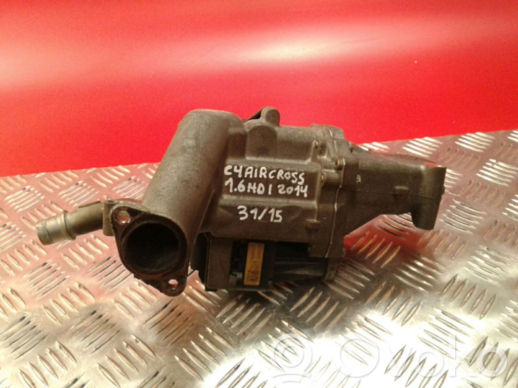 Válvula EGR   505639,00