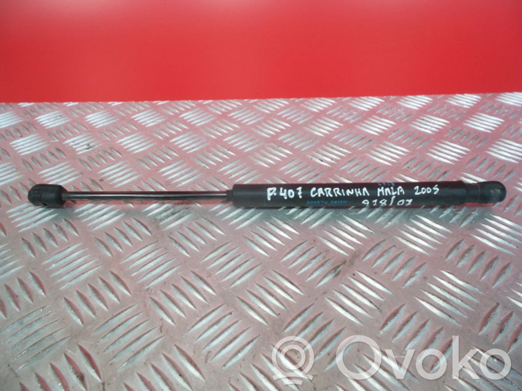 Peugeot 407 Tailgate/trunk strut/damper 