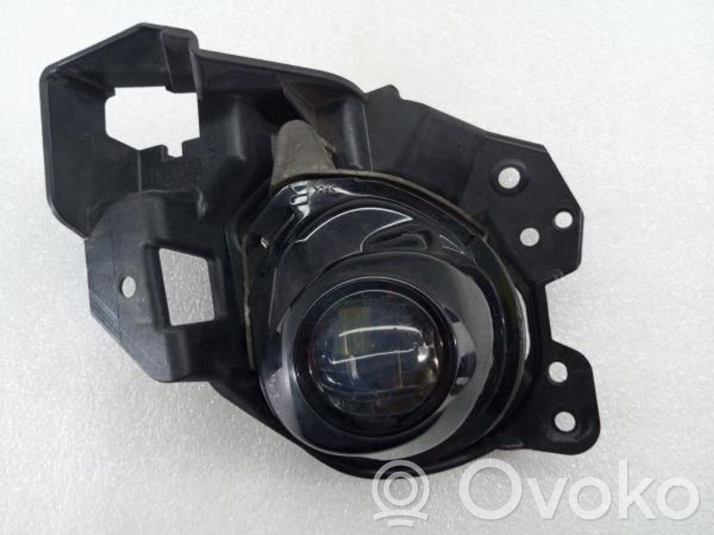 Nebelscheinwerfer vorne   11465101