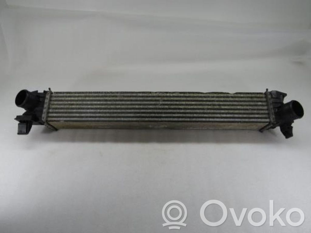 Intercooler radiator   1613994080,0001382428080,0001382429080,0384K1,1347700080,1382428080,1382429080,1613994080,1613994180,1617300680,1617322580,384K1,53144431,DF630001,E256094