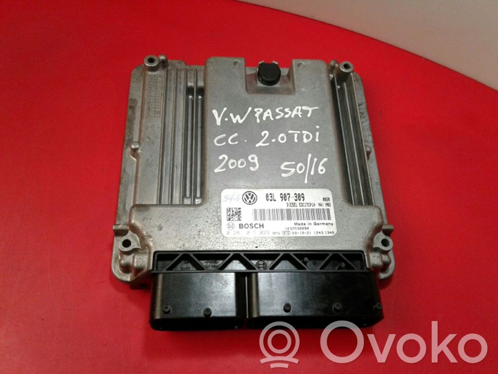 Engine control unit/module   REL,0281015029,907