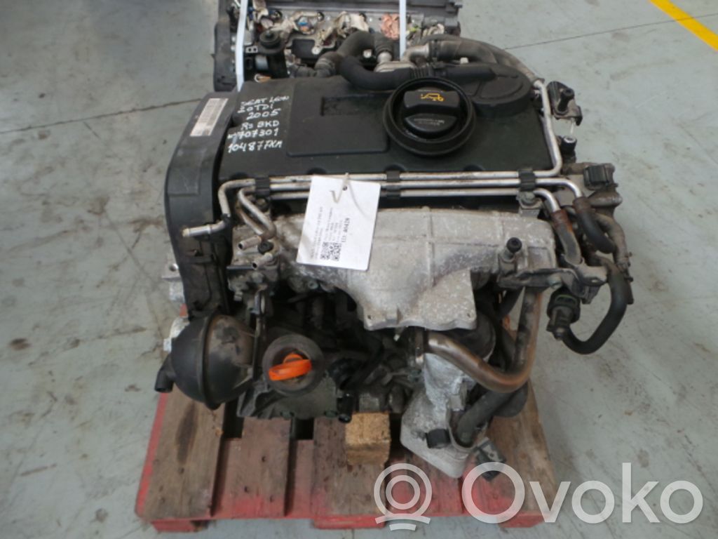 Seat Leon (1P) Motore 