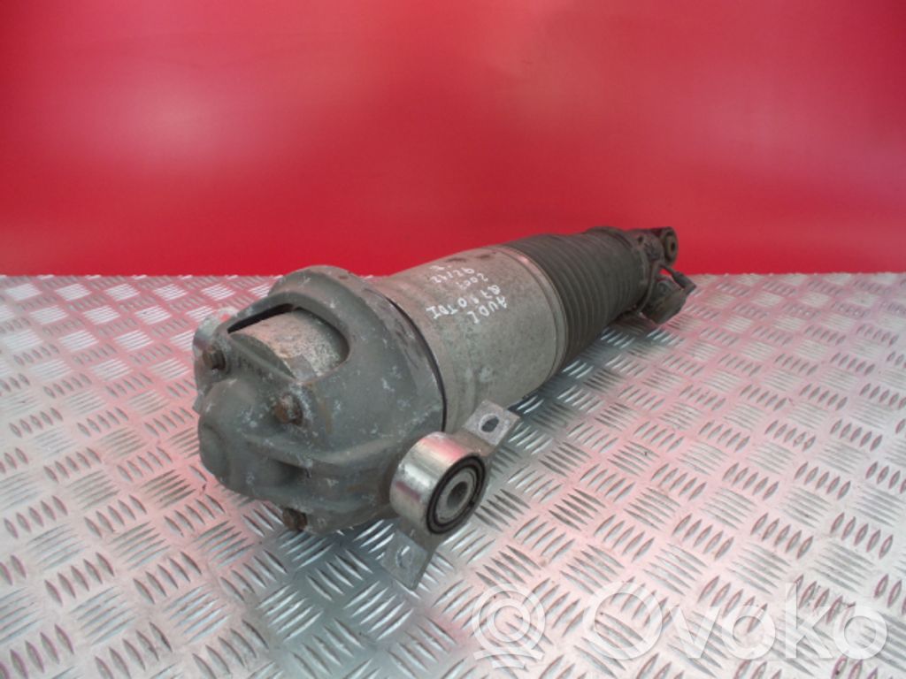 Audi Q7 4L Rear shock absorber/damper 
