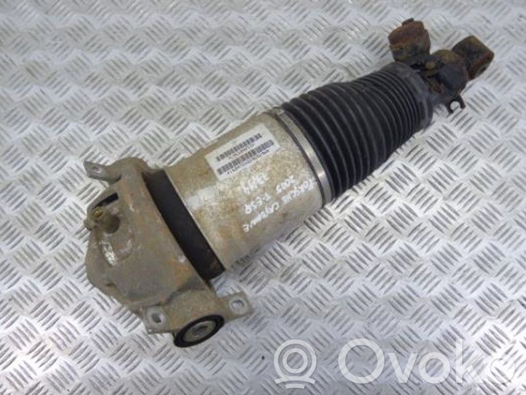Porsche Cayenne (9PA) Rear shock absorber/damper 