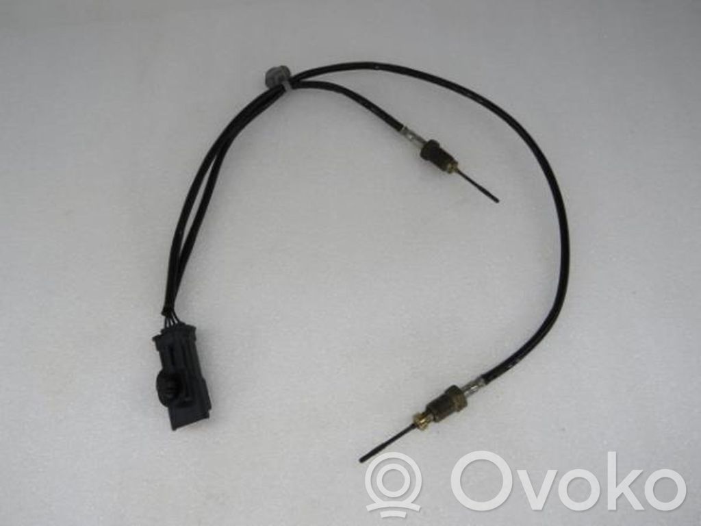 Lambda zondas   F133700,9812376480