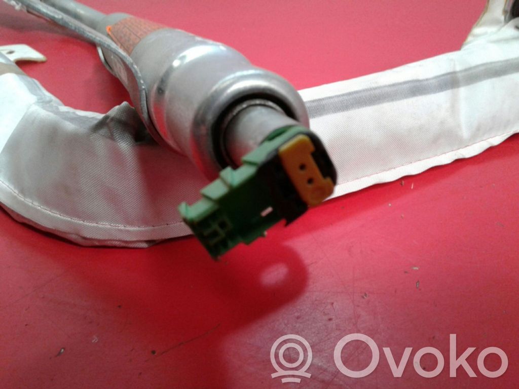 Kopfairbag   85010,1G500