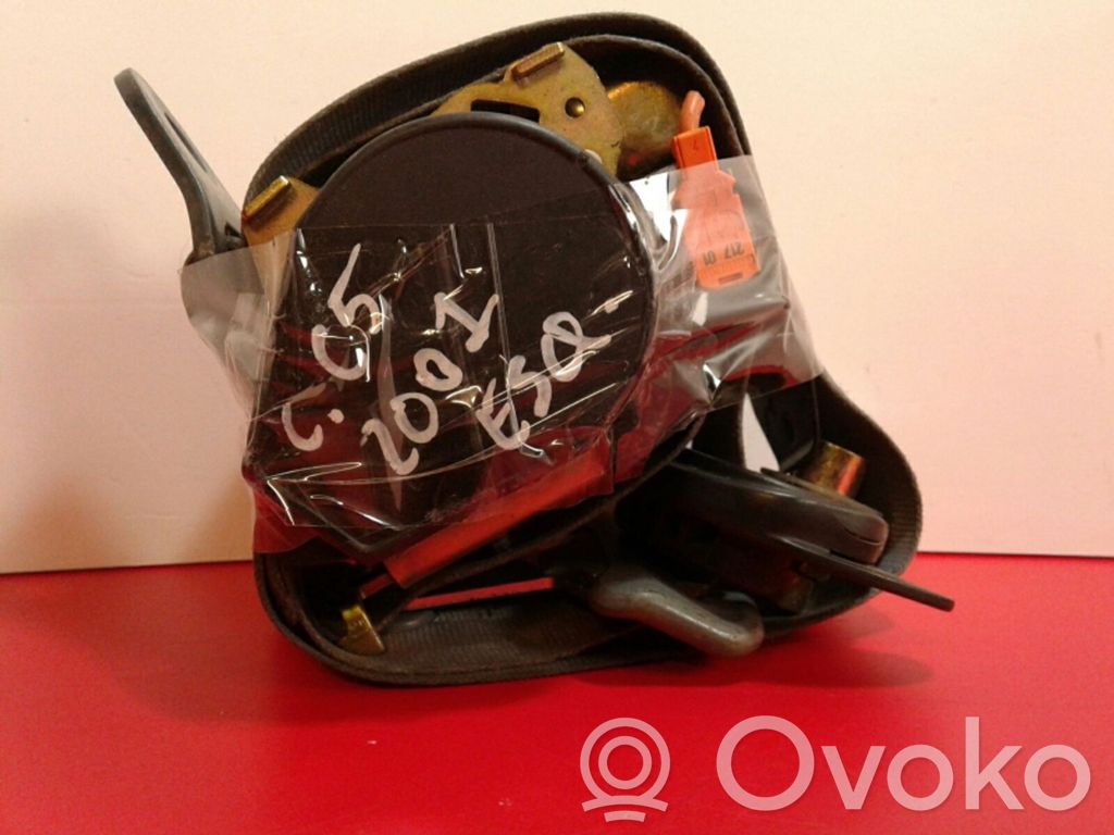 Cinturón delantero   B507744