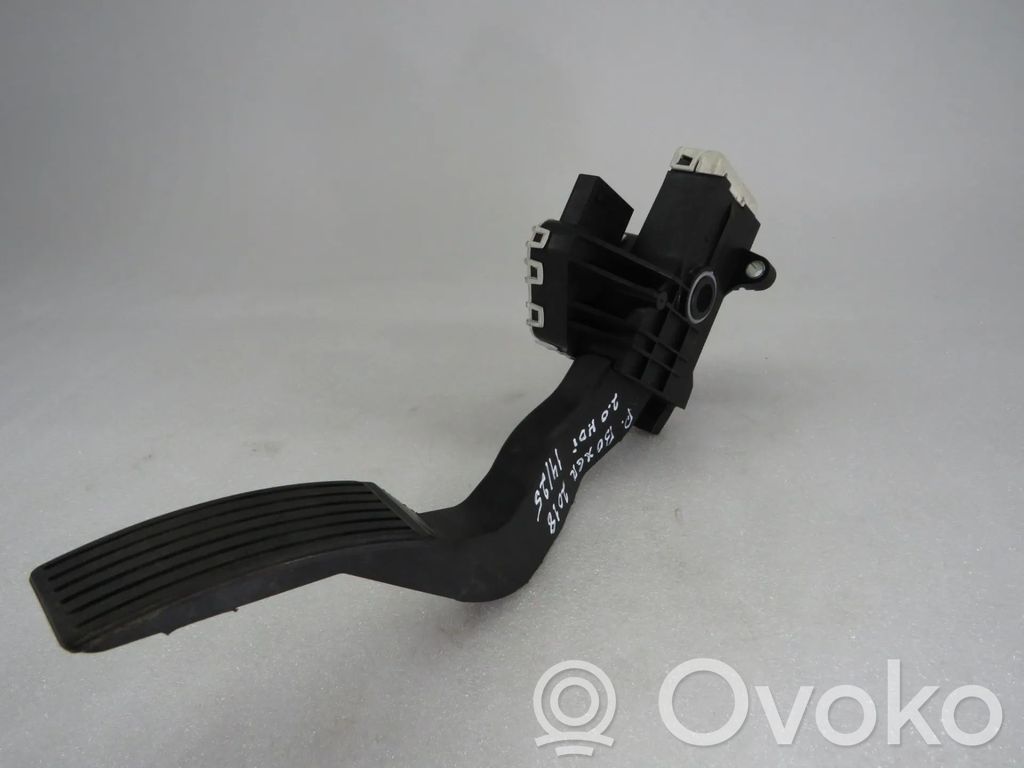 Gaspedal   013841620800B