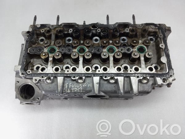 Galvutė   JX606090EA,E08124H