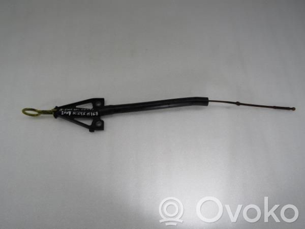 Renault Clio III Tepalo lygio matuoklė 