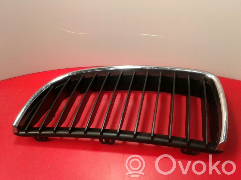 Kühlergrill   224059