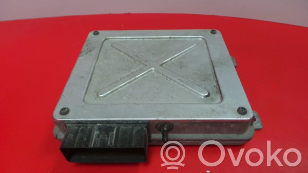 Rover 100 Engine control unit/module 