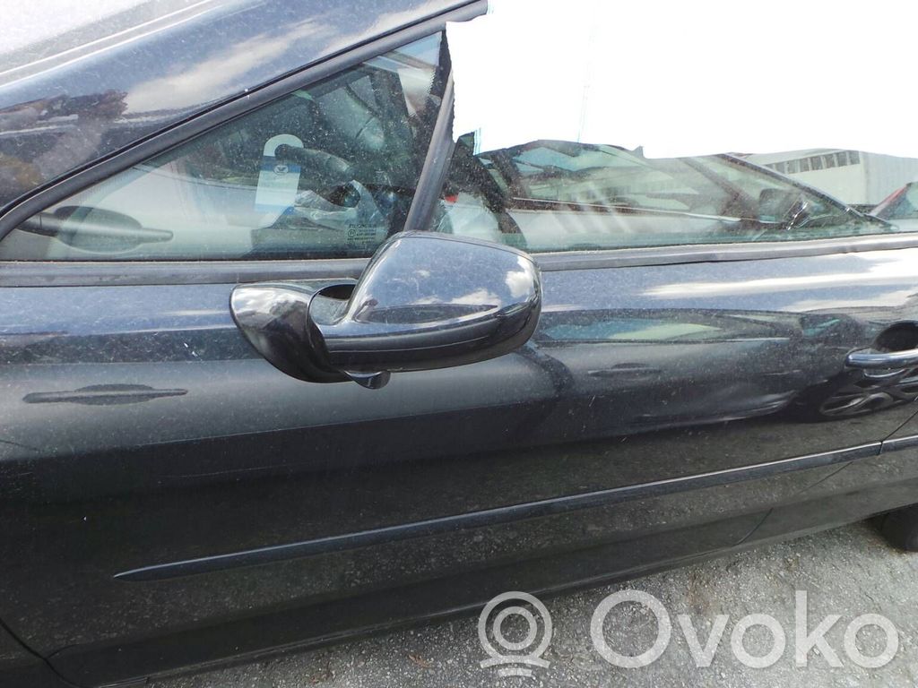 Peugeot 407 Front door 