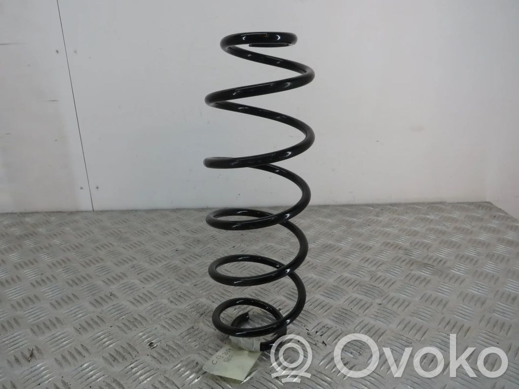 Rear coil spring