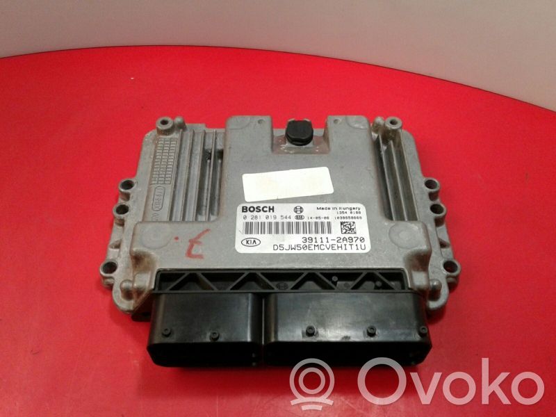 Variklio valdymo blokas   0281019544,391112A970
