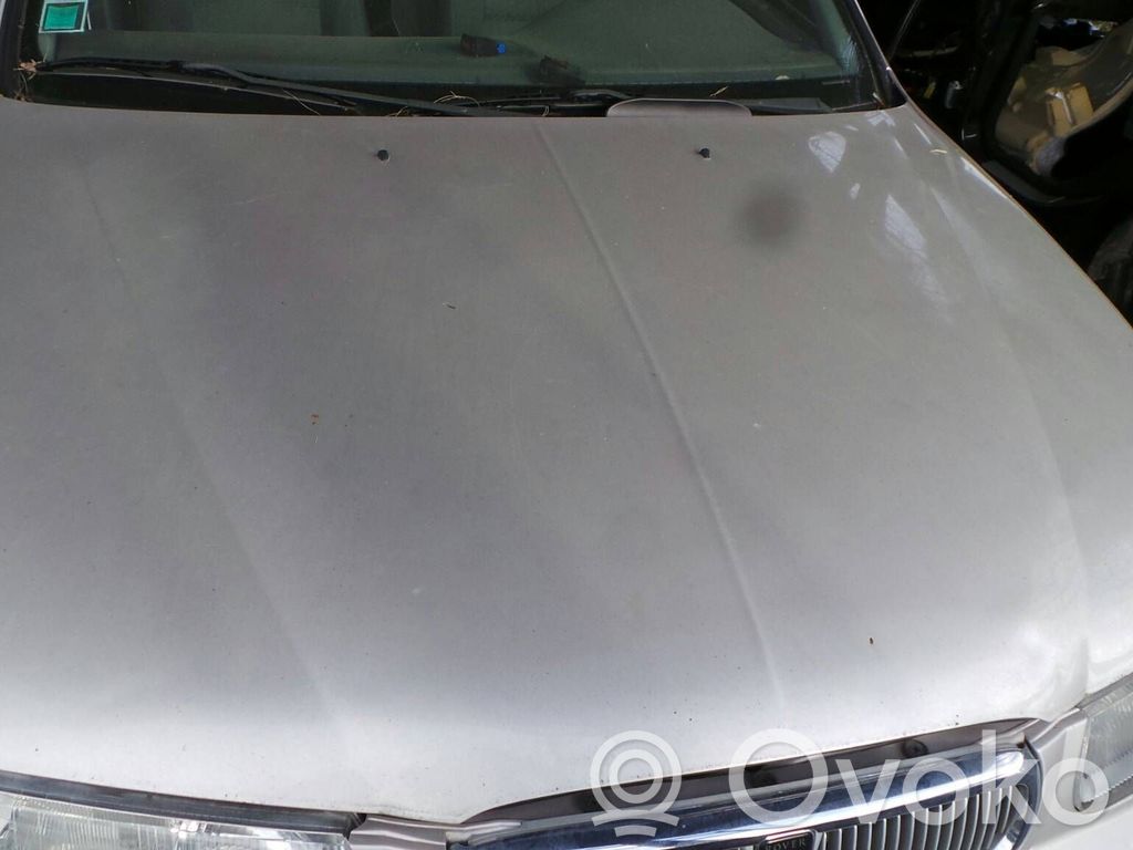 Engine bonnet/hood   11787,D17,K4C