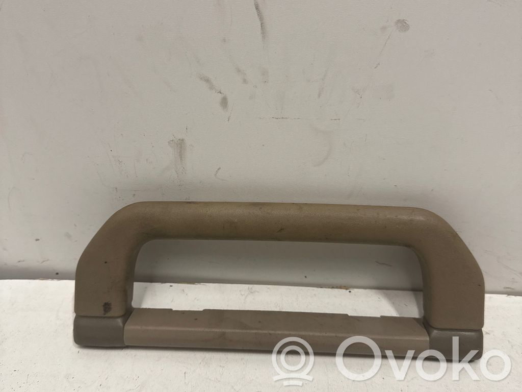 Asidero interior trasero   3451168102400