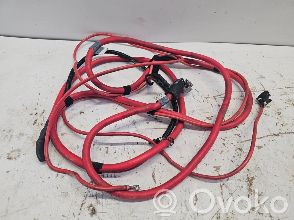 Plusa vads (akumulatora)   7787971,Z00TMM