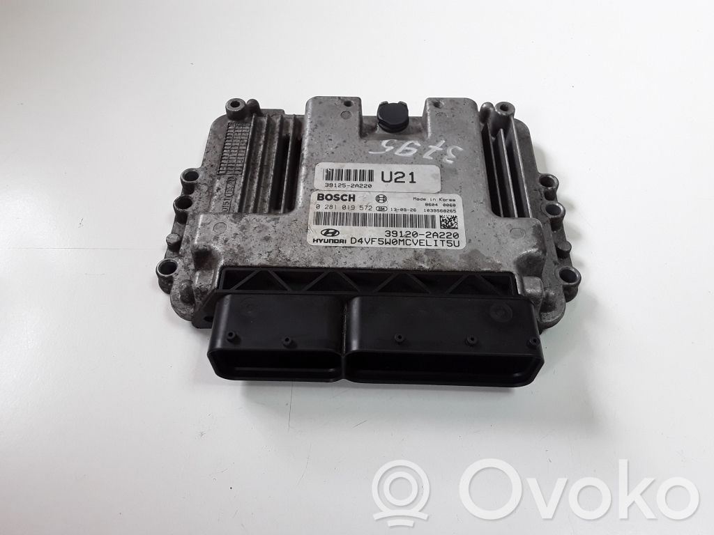 Engine control unit/module   391252A220,0281019572