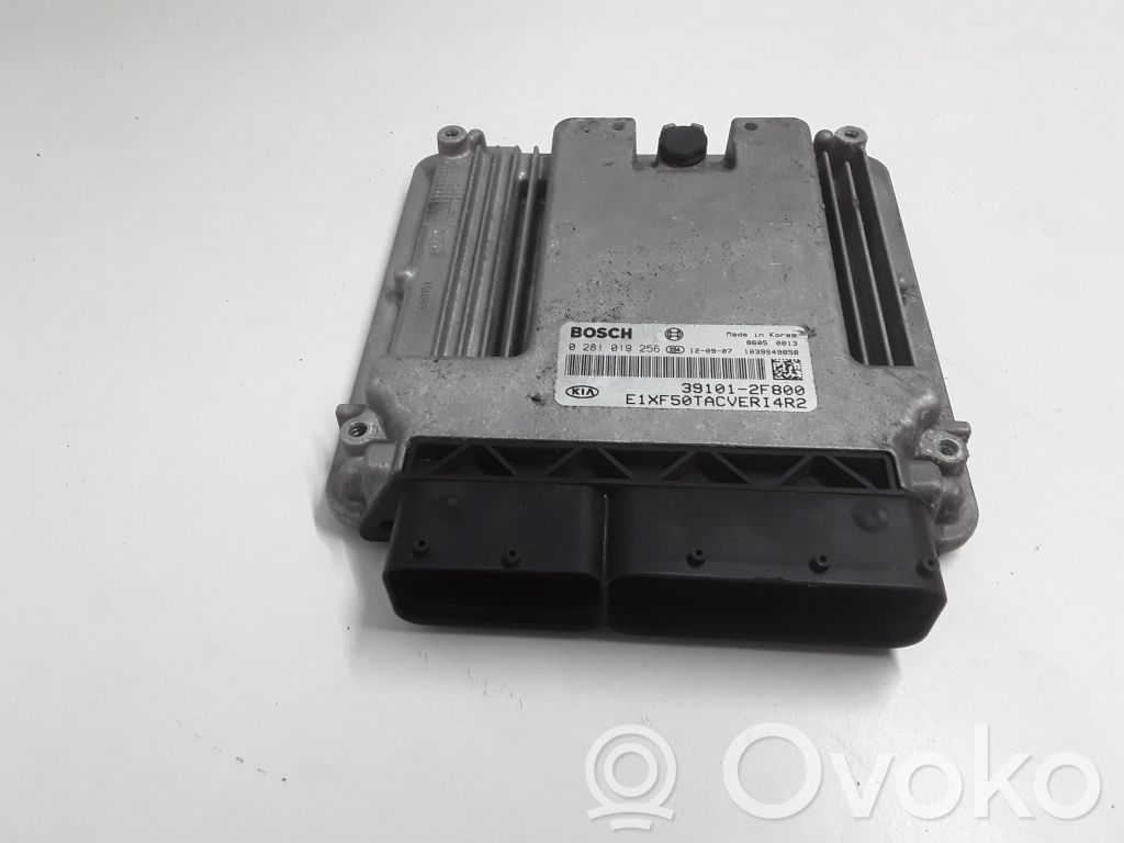 KIA Sorento Engine control unit/module 