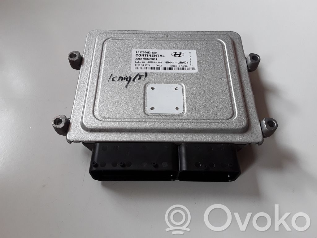 Hyundai Ioniq Engine control unit/module 
