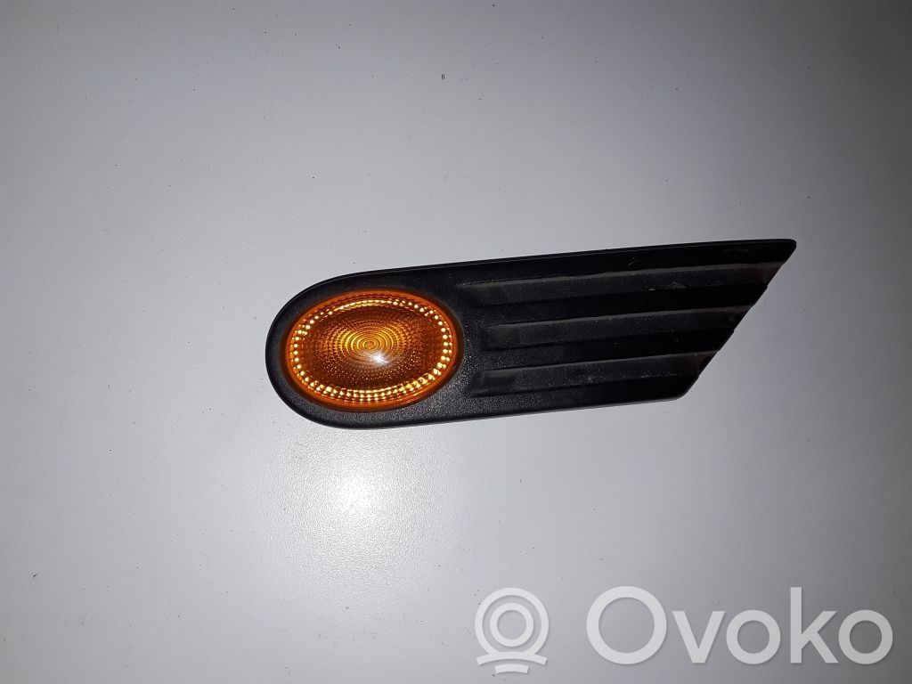 Mini Cooper Countryman R60 Seitenblinker 