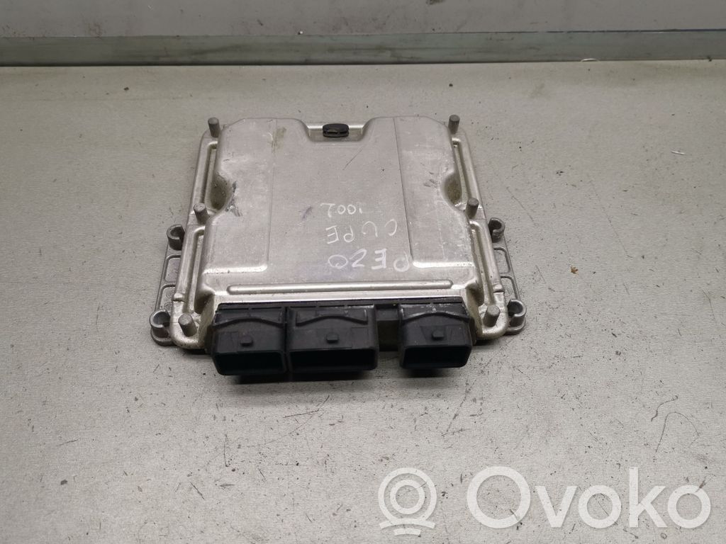 Peugeot 406 Engine control unit/module 