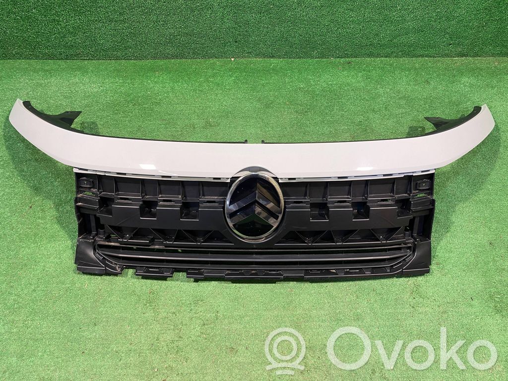Citroen C3 Front grill 