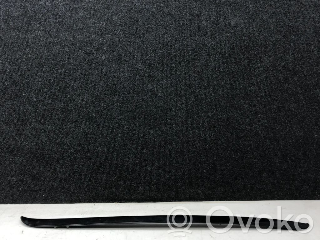 Windshield trim   E71482371