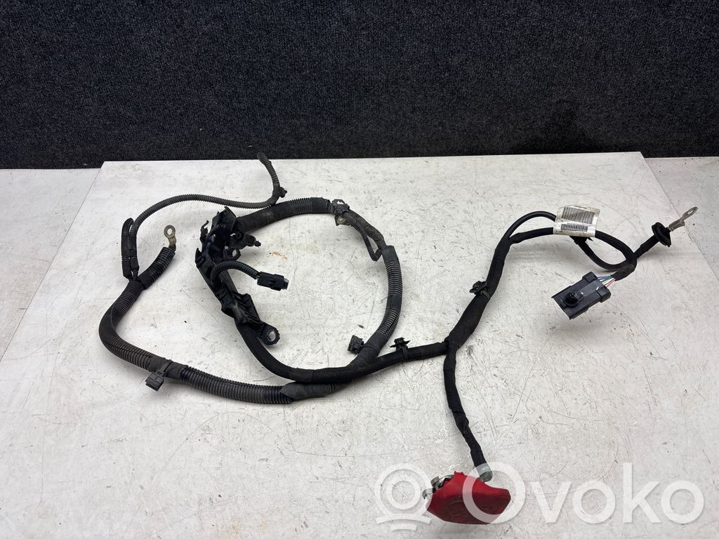 Cableado positivo   9804606580