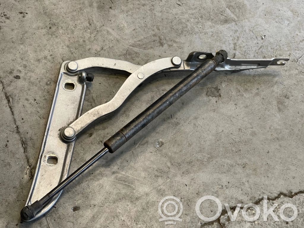BMW M3 Aizmugurējā pārsega eņģe (-ess) 