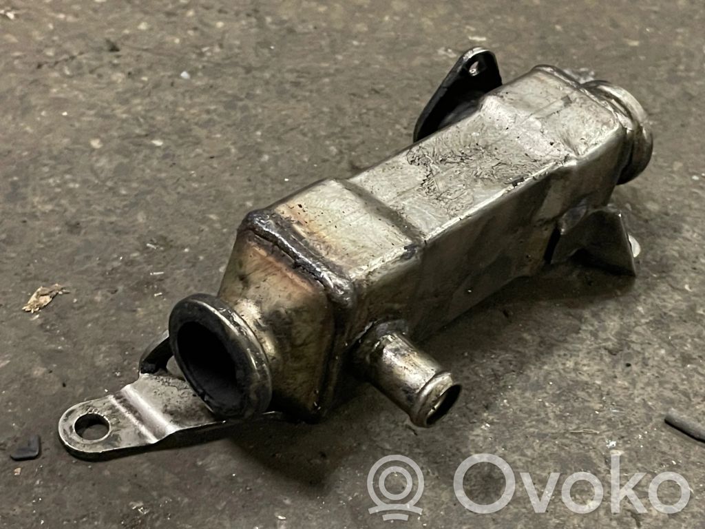 BMW 3 E46 EGR dzesētājs 