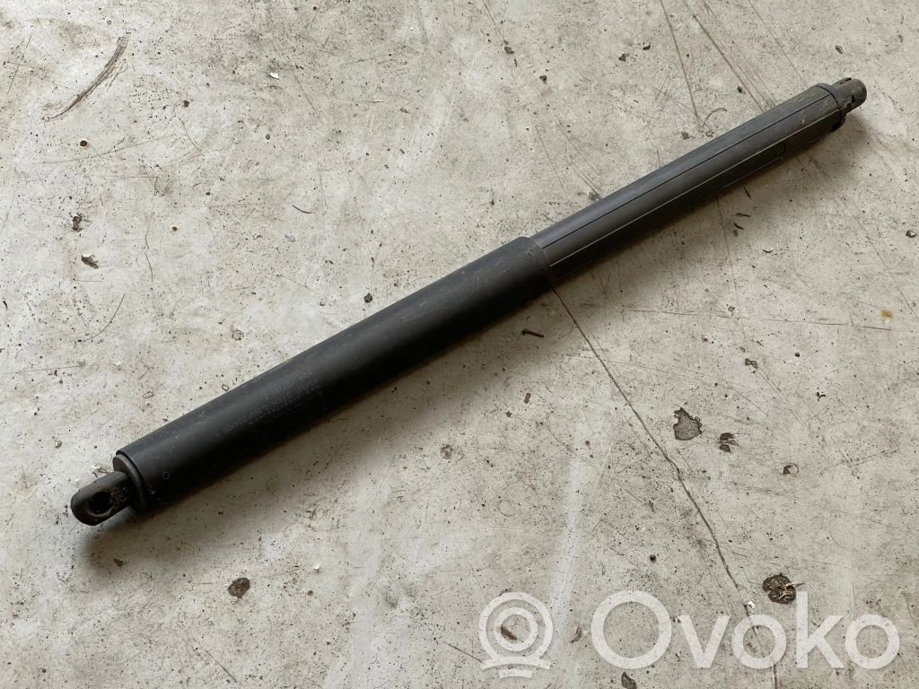 Tailgate/trunk strut/damper   7177283,6349ZFS710N